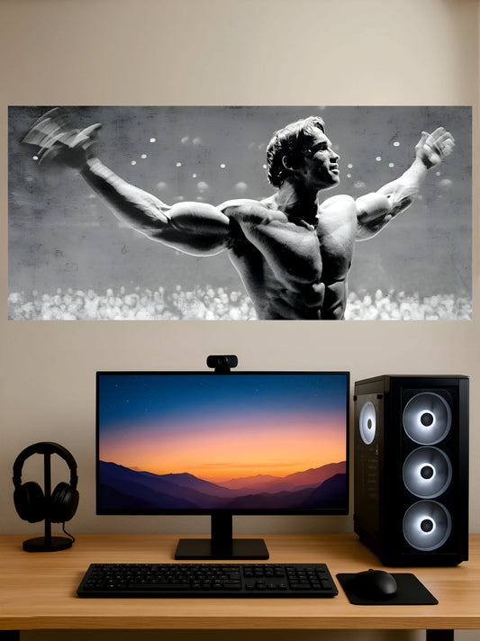 Arnold Schwarzenegger Poster || 3 Split Poster || Gym